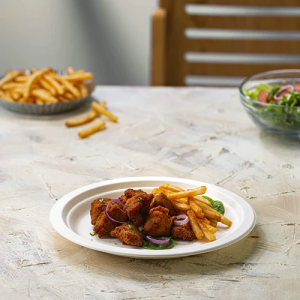 Compostable Sugarcane / Bagasse 9″ Plate – 500/Case