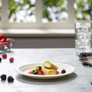 10′ Compostable Bagasse Heavy Duty Paper Plates