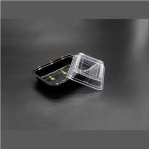 FH507 Rectangular Black Plastic Lunch Box Set 6 1/2″ X 4″ X 1 3/8″ – 550/Case