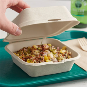 GreenPackaging – 6″x 6″x 3″ – Compostable Hinged Sugarcane Bagasse Take-out Container – 500/case